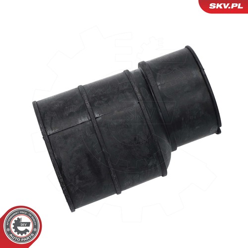 For skv germany - for,
