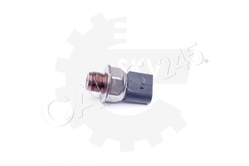 Fuel pressure sensor for - fuel,