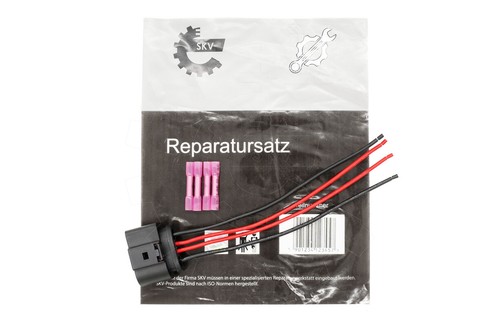 Skv fuel pump - pump, repair