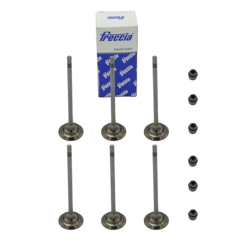Inlet valve gasket for - 6x,