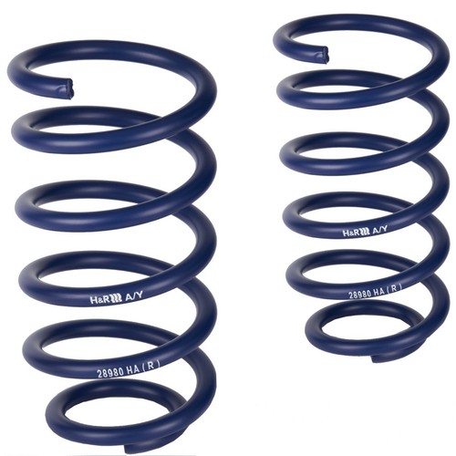Lowering springs va - 2x,